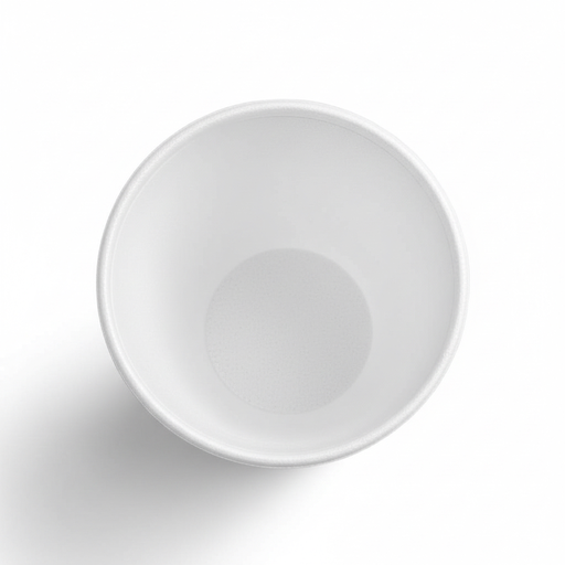 pro-shot-e203ee2d-20a8-4d2f-8099-5e6fb551c2b4.webp