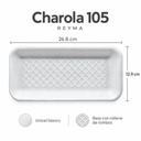 CH105 aprobada 03-infografia-v3