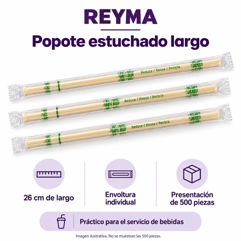 BPRE-0249 corregido 03-infografia.png
