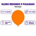GRDS-NAR-0659 premium 03-infografia