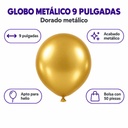 GM9E-DOR-0651 premium 03-infografia
