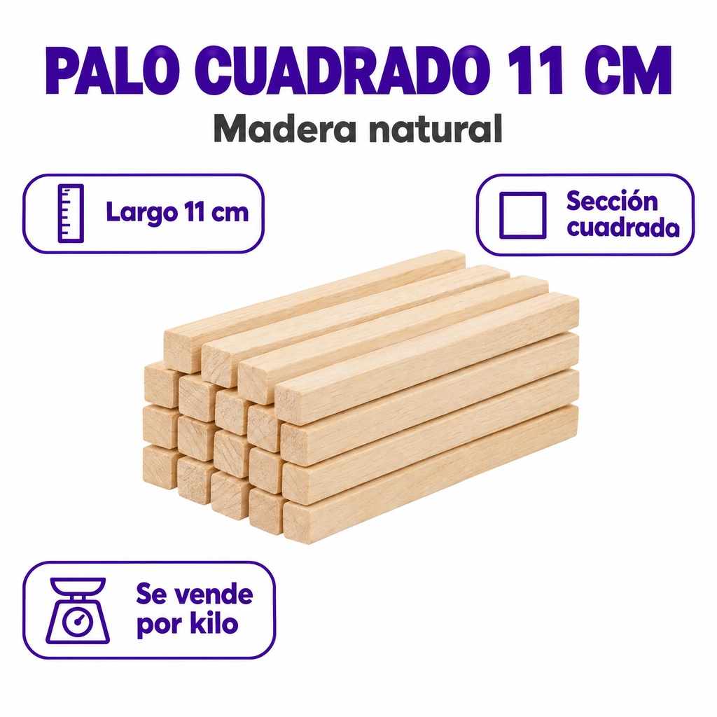 P1C-0779 premium 03-infografia