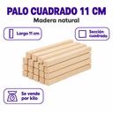 P1C-0779 premium 03-infografia