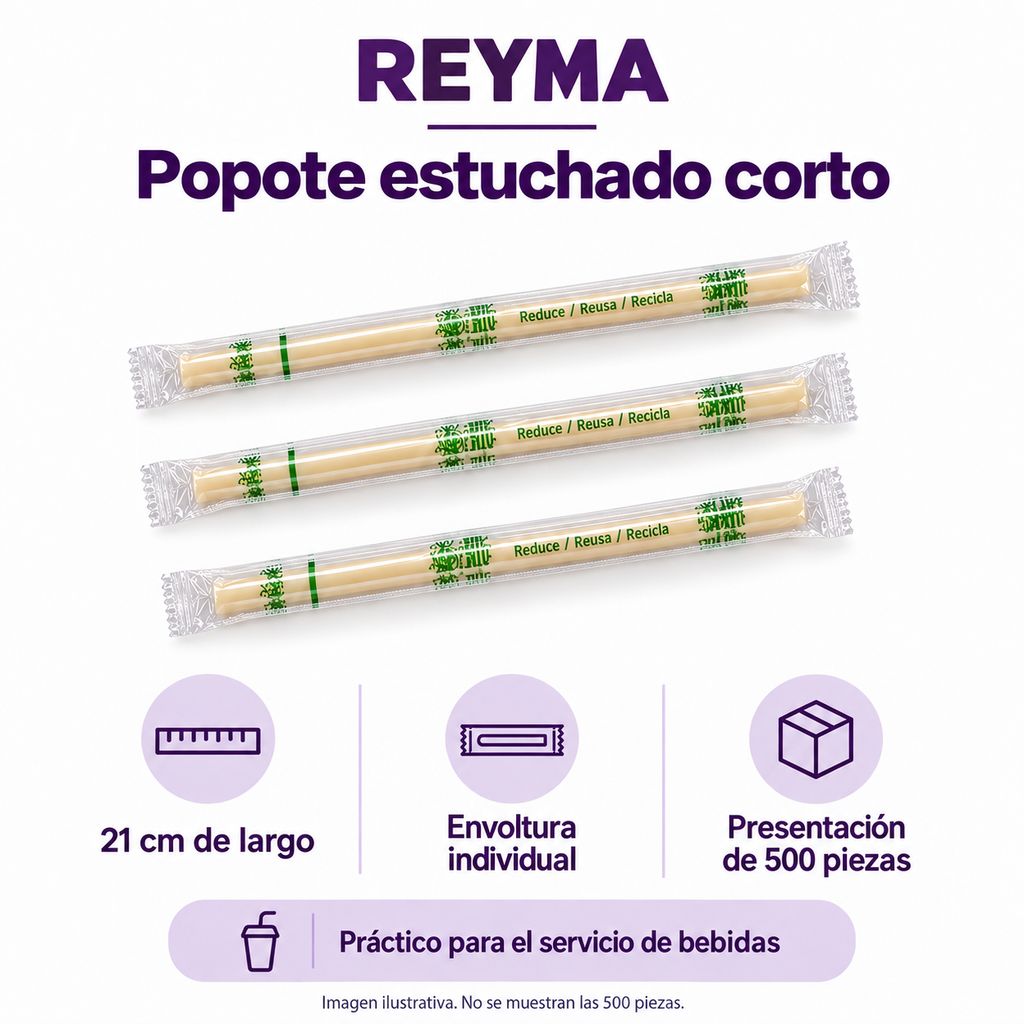 BPRE-0248 21 cm 03-infografia.png