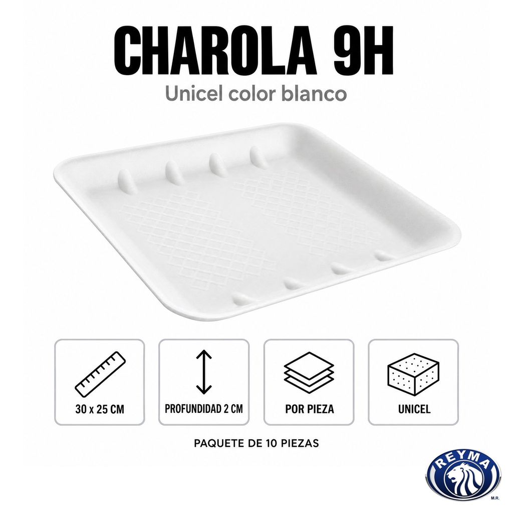 CU9R-0307 premium 03-infografia