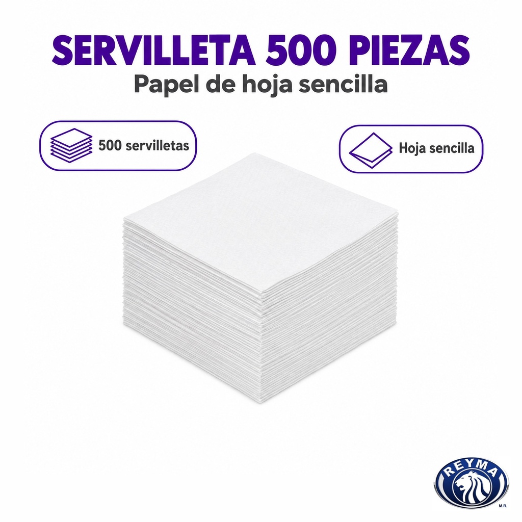 SKR5-1037 premium 03-infografia