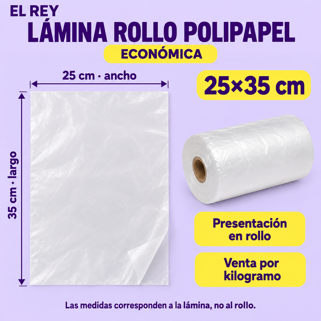 LRPE-25X-0736 · Lámina Polipapel 25×35 cm · Infografía