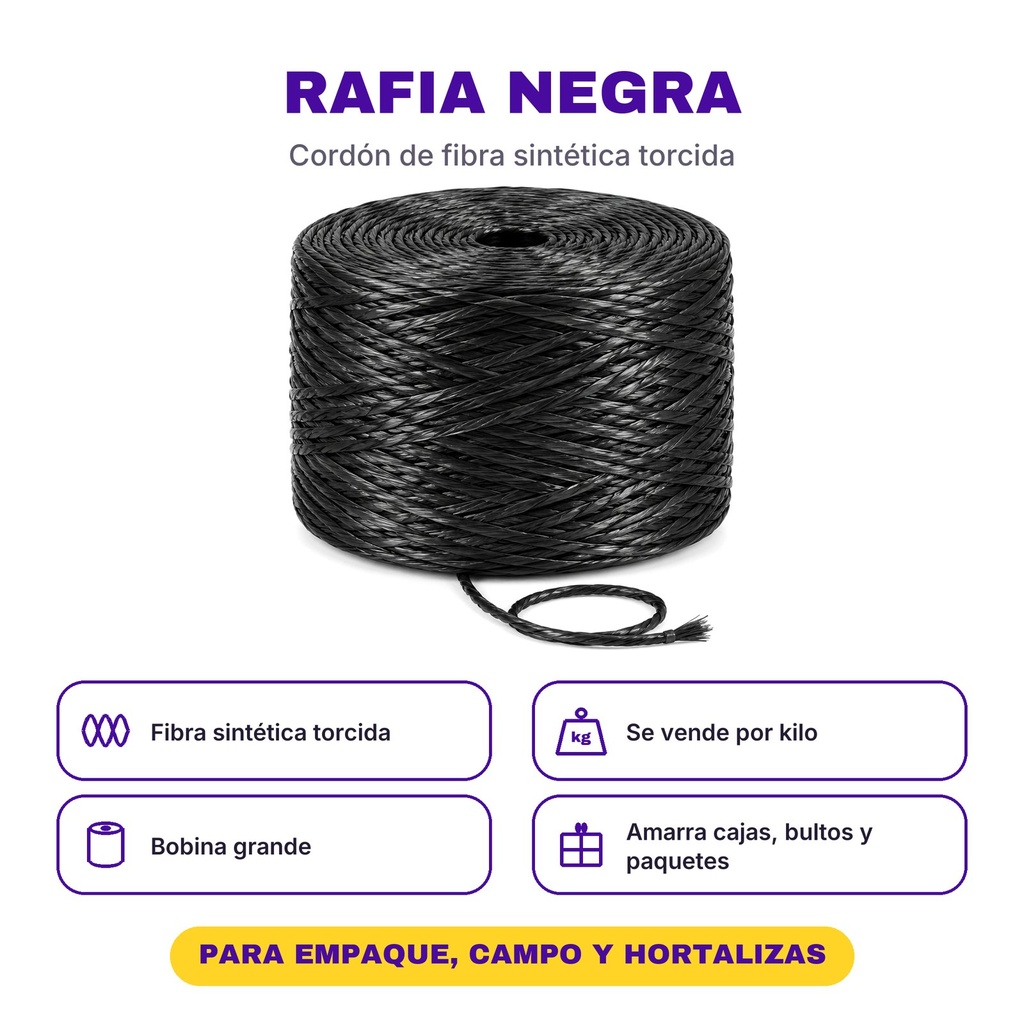 RAF-0003 premium 03-infografia