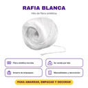 RAF-0001 premium 03-infografia