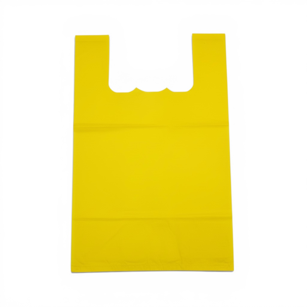 BOLSA ASA POLIPAPEL CHICA 25X40 ECONÓMICA