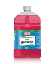 Concentrado Grosella Deiman 4LT (Sabor, Color y Aroma)